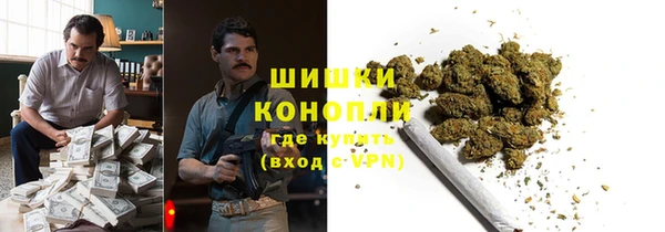 прущие грибы Липки
