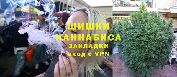 прущие грибы Липки
