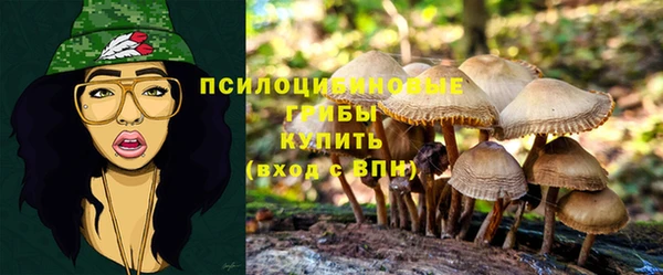 прущие грибы Липки