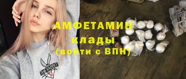 прущие грибы Липки