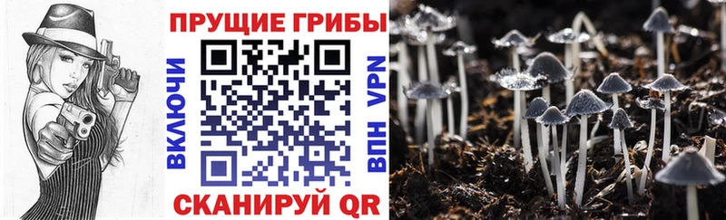 Галлюциногенные грибы мухоморы  где можно купить наркотик  Щучье 